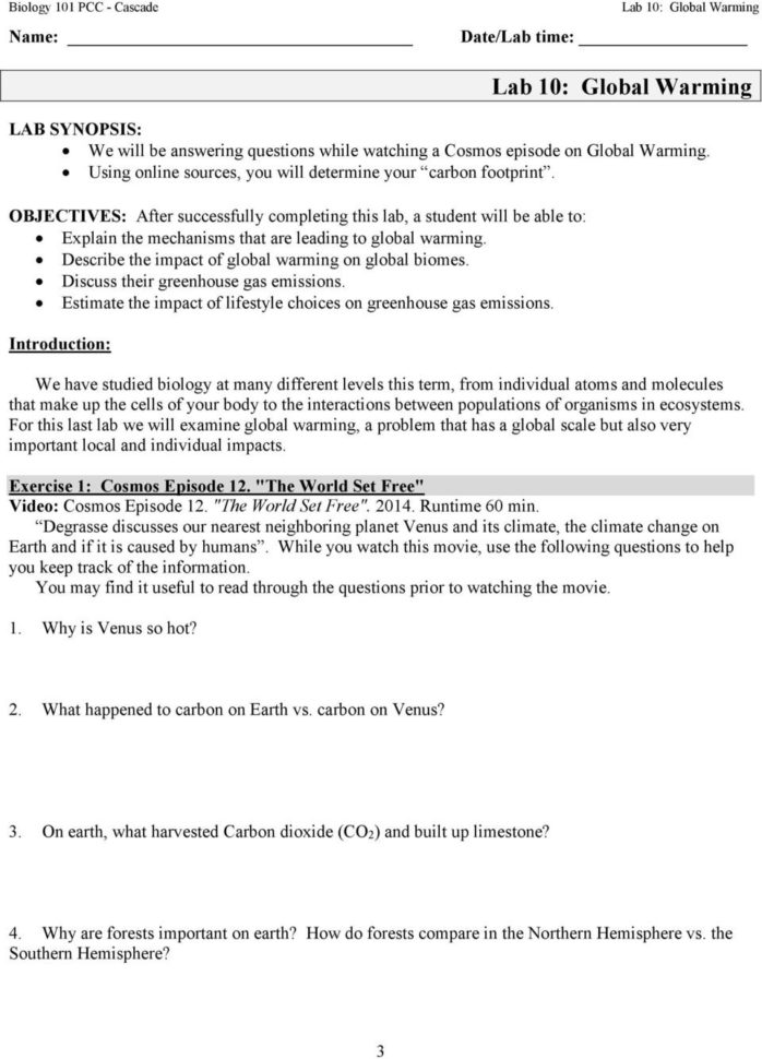 Prelab Homework Lab 10 Global Rming Prior To Lab Answer