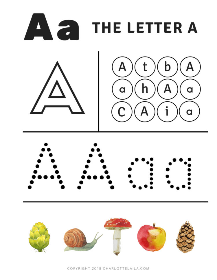 Preschool Alphabet Worksheet Letter Charlotte Laila