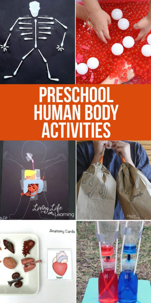 Preschool Human Body Activities