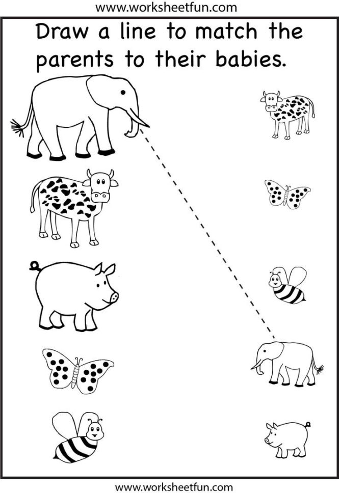 Preschool Matching Worksheet  Crafts And Worksheets For