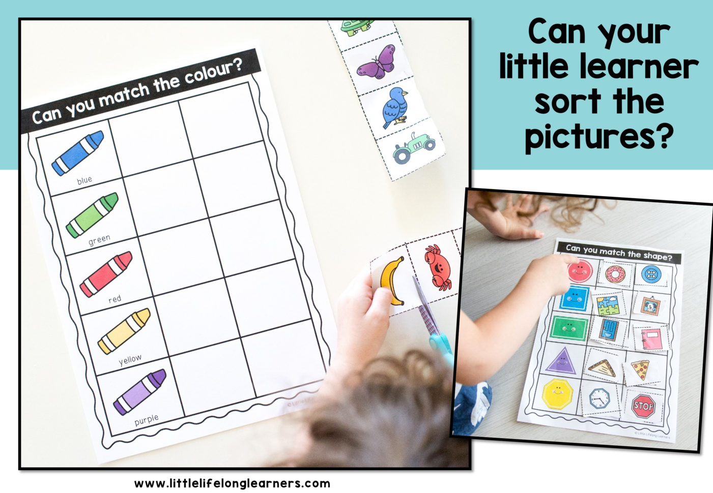 Preschool Sorting Skills  Cut And Paste Activities