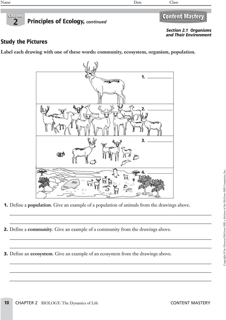 Principles Of Ecology Worksheet Answer Key