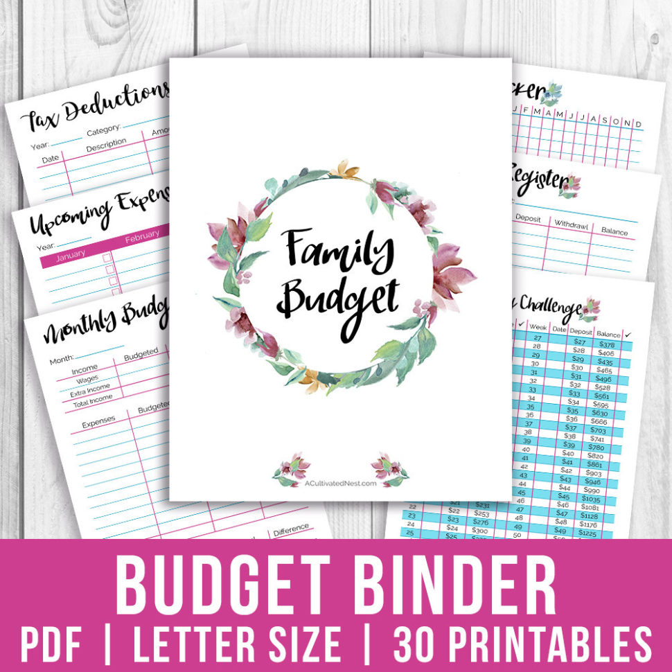 Printable Budget Binder Tercolor