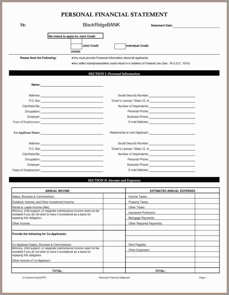 Profit And Loss Statement For Loan Modification  Of Bank