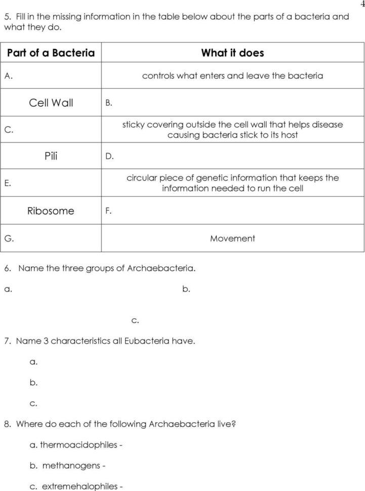Prokaryotes Reading Bacteria Characteristics Of Bacteria