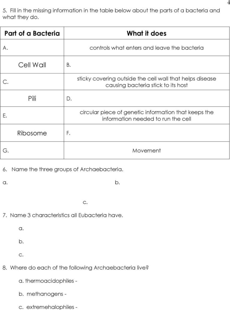 Prokaryotes Reading Bacteria Characteristics Of Bacteria —