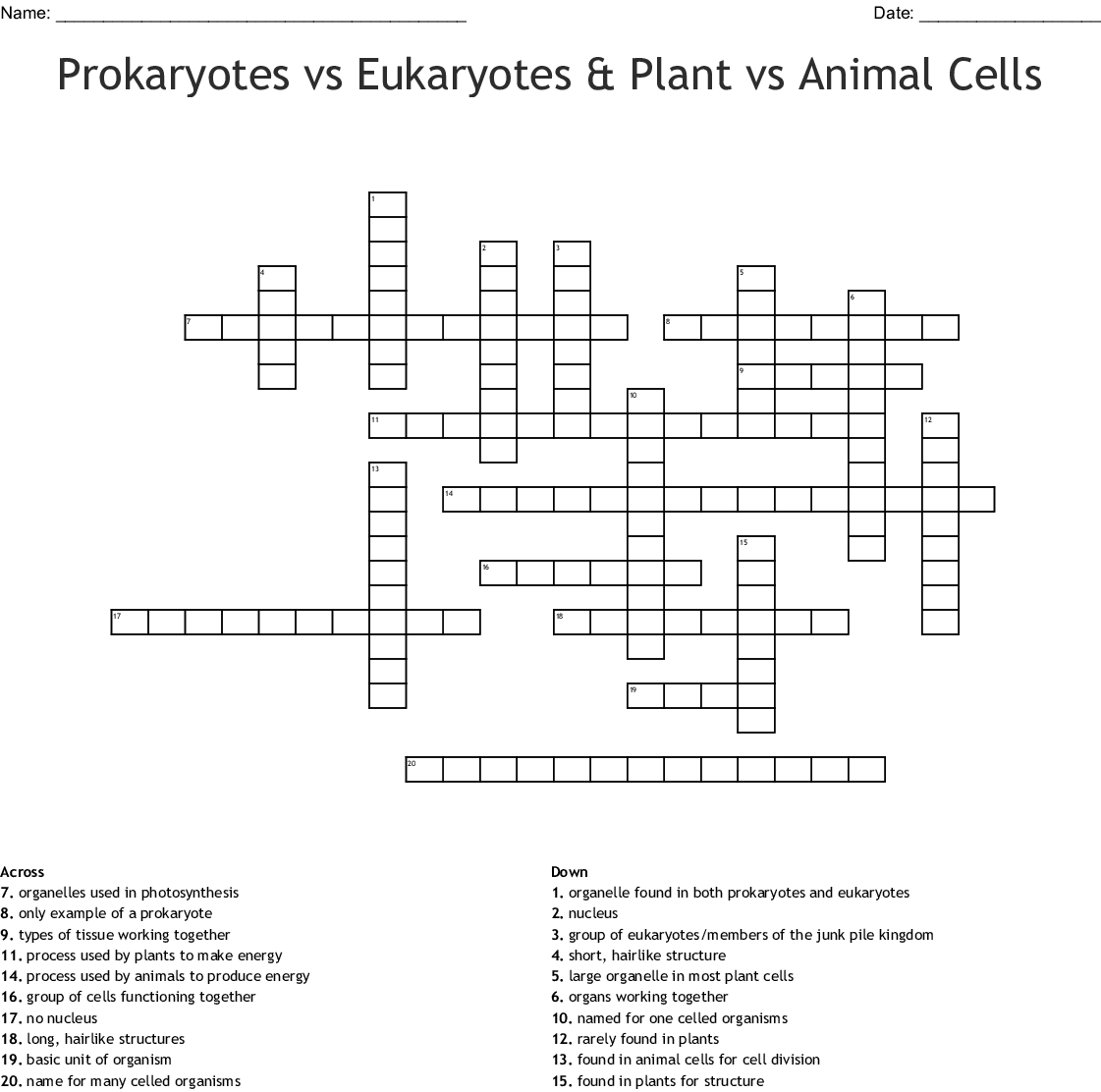 Prokaryotes Vs Eukaryotes Plant Vs Animal Cells Crossword — db-excel.com