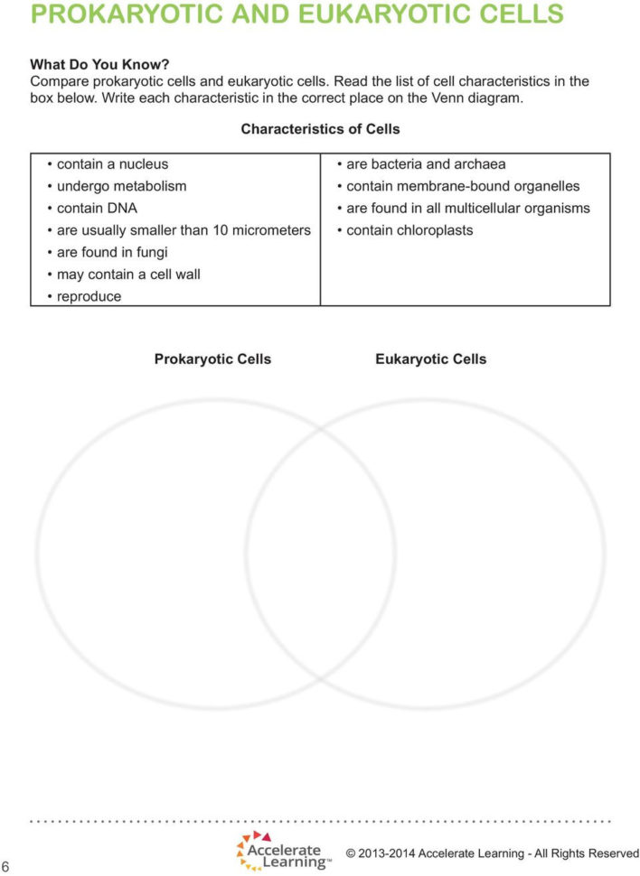 Prokaryotic And Eukaryotic Cells  Pdf
