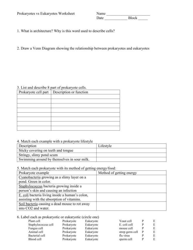 prokaryotes-vs-eukaryotes-worksheet-answers