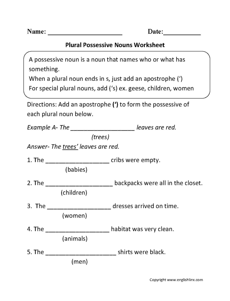 Plural Or Possessive Worksheets