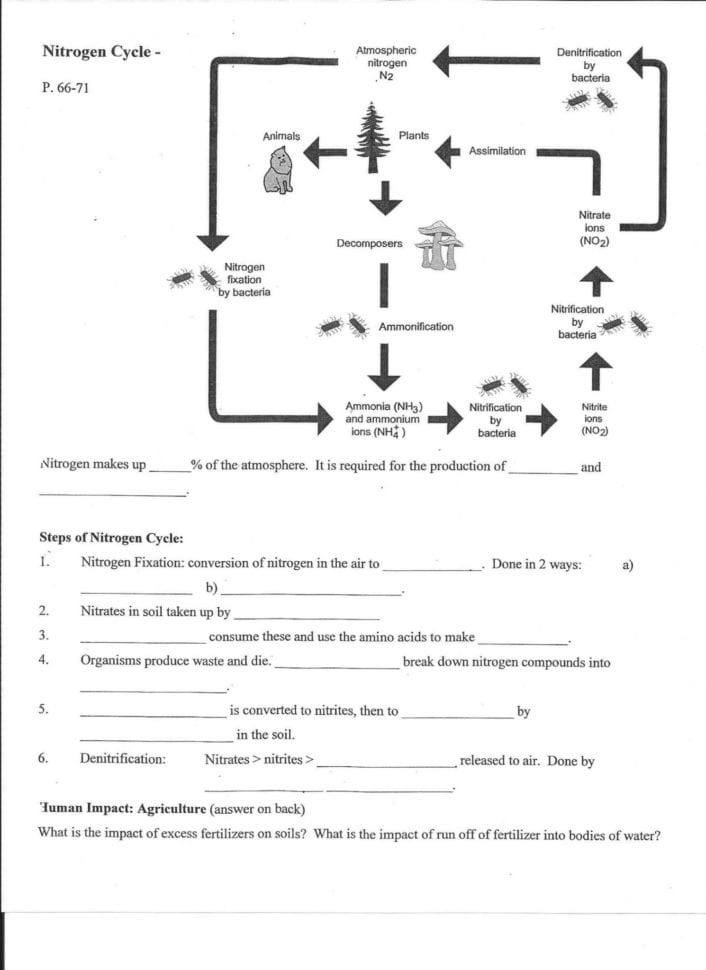 Properties Of Ter Worksheet Pdf