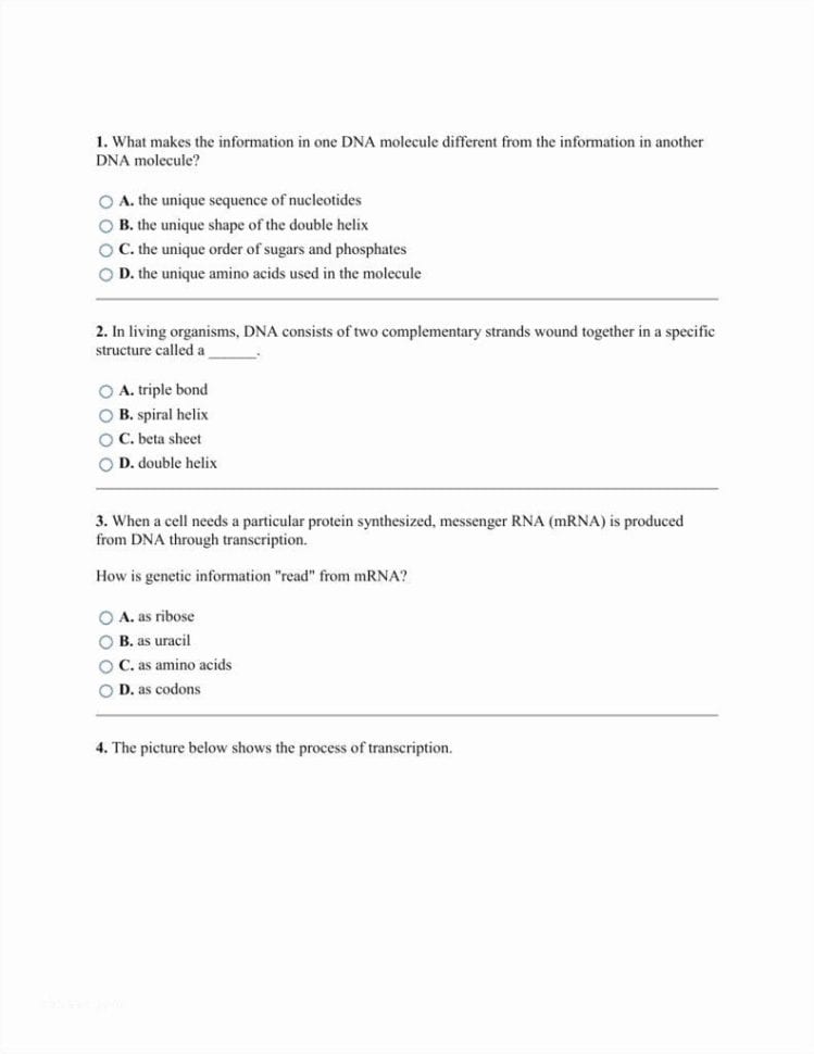 Protein Structure Pogil Worksheet Answers