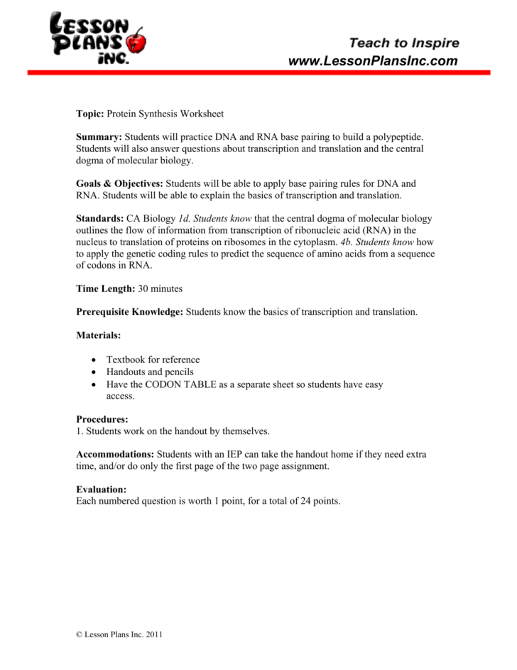 Dna Base Pairing Worksheet Answers