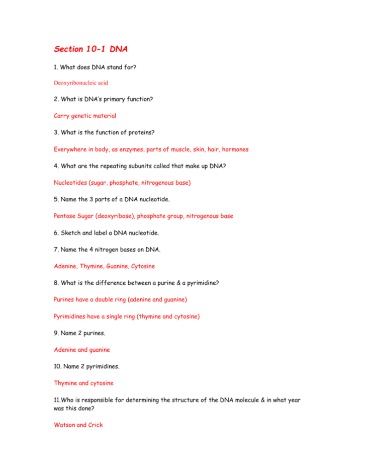 Protein Synthesis Review Worksheet Answers