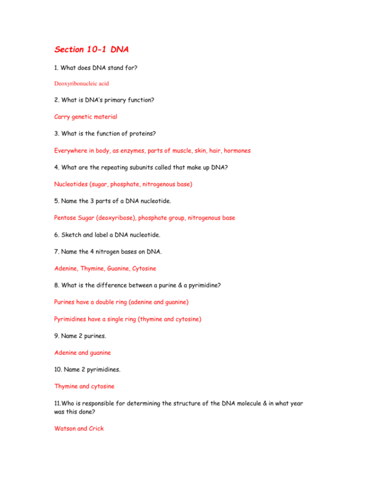 Protein Synthesis Answer Key