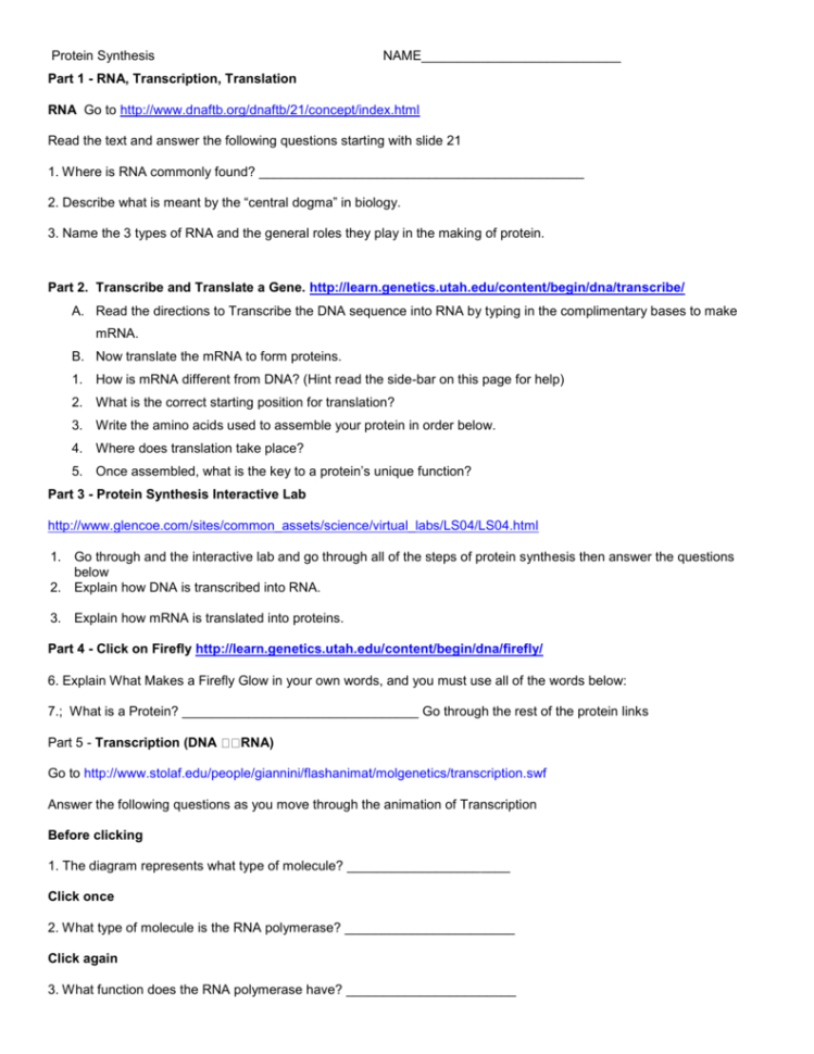 Protein Synthesis Web Quest For 2  Con Science