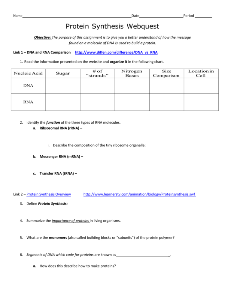 Protein Synthesis Webquest