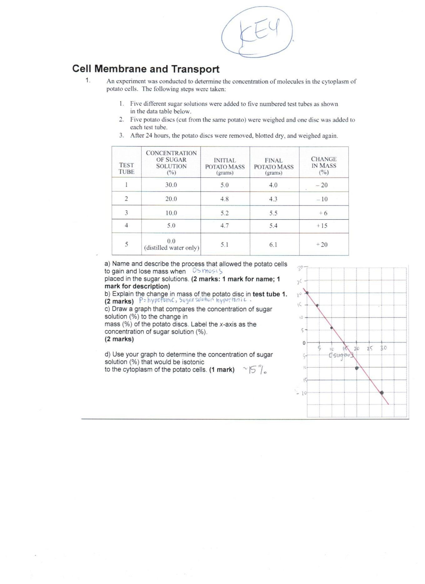 Protein Synthesis Webquest Worksheet Answer Key
