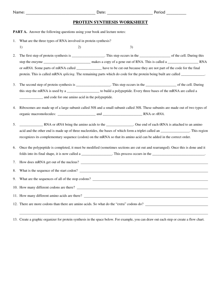 Protein Synthesis Worksheet