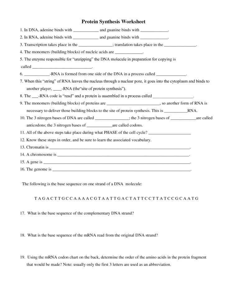 Protein Synthesis Worksheet Answer Key  Netvs