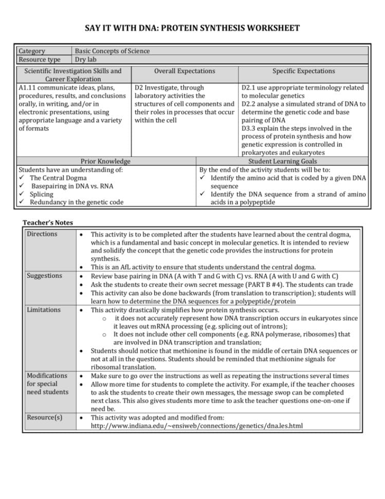 Protein Synthesis Worksheet Answer Key  Netvs