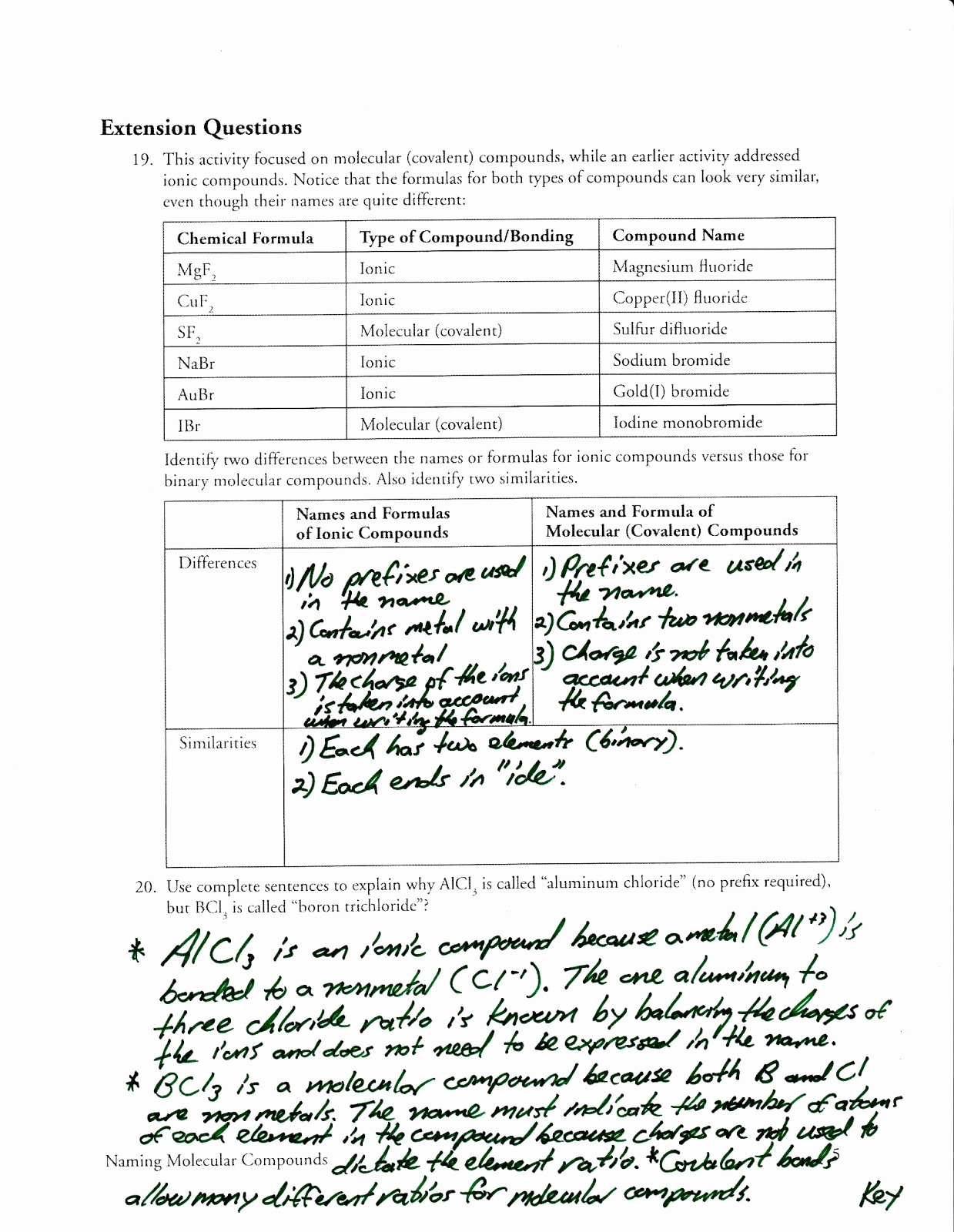 Protein Structure Pogil Worksheet Answers — db-excel.com