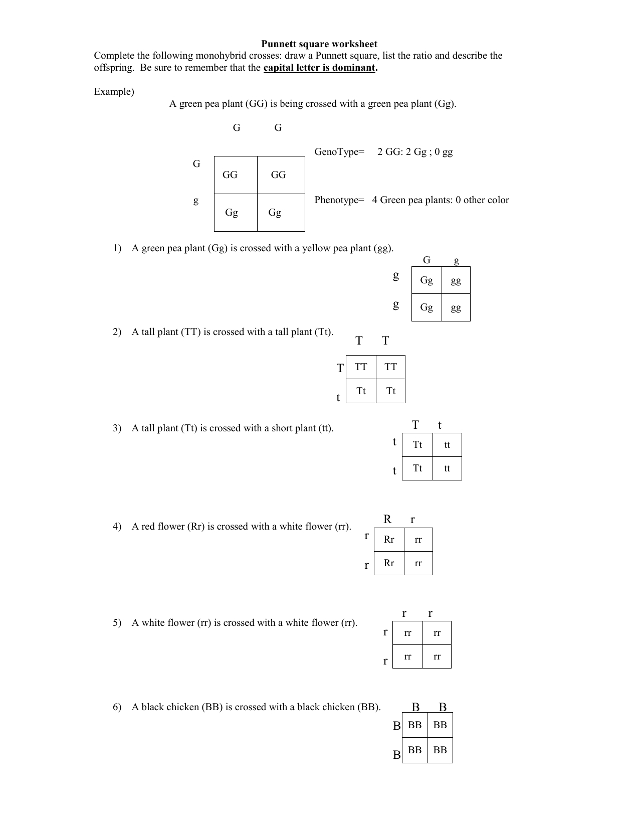 Punnett Square Worksheet And Answer Key
