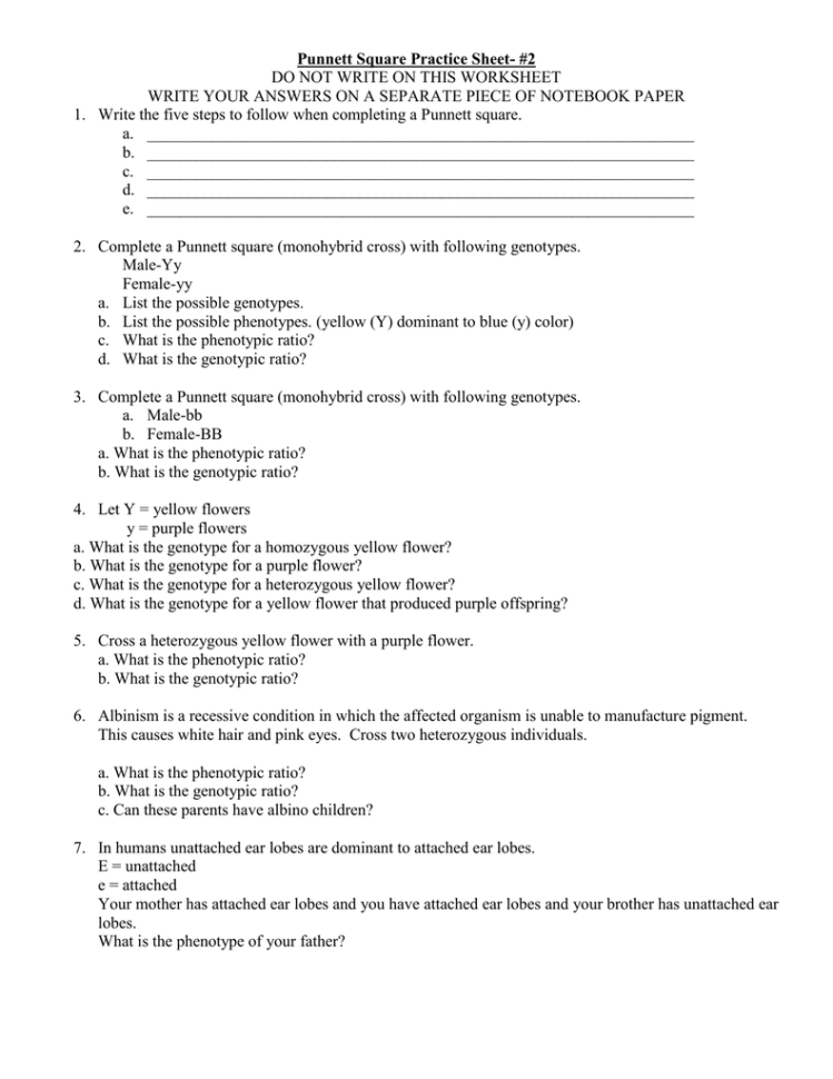 Punnett Square Practice Sheet 2 Do Not Write On This Worksheet