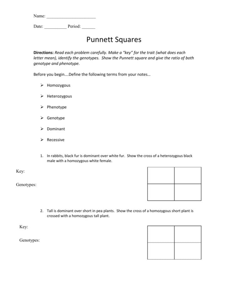 Punnett Square Worksheet 1 Answer Key — db-excel.com
