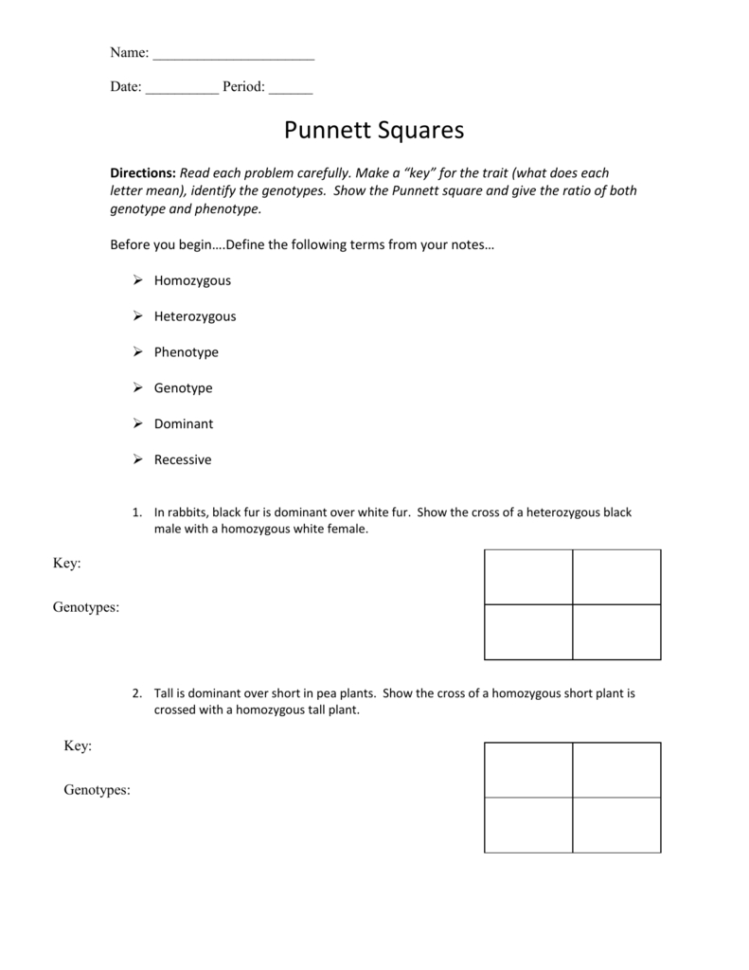 Punnett Square Worksheet 1 Key Db excel