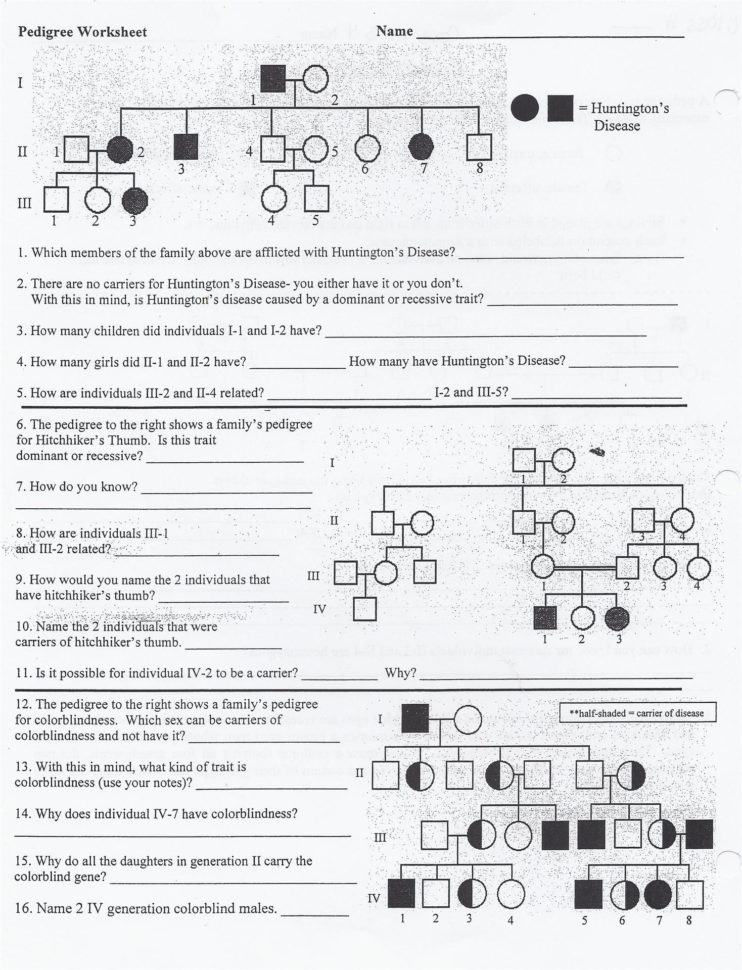 Punnett Square Worksheet 1 Answer Key