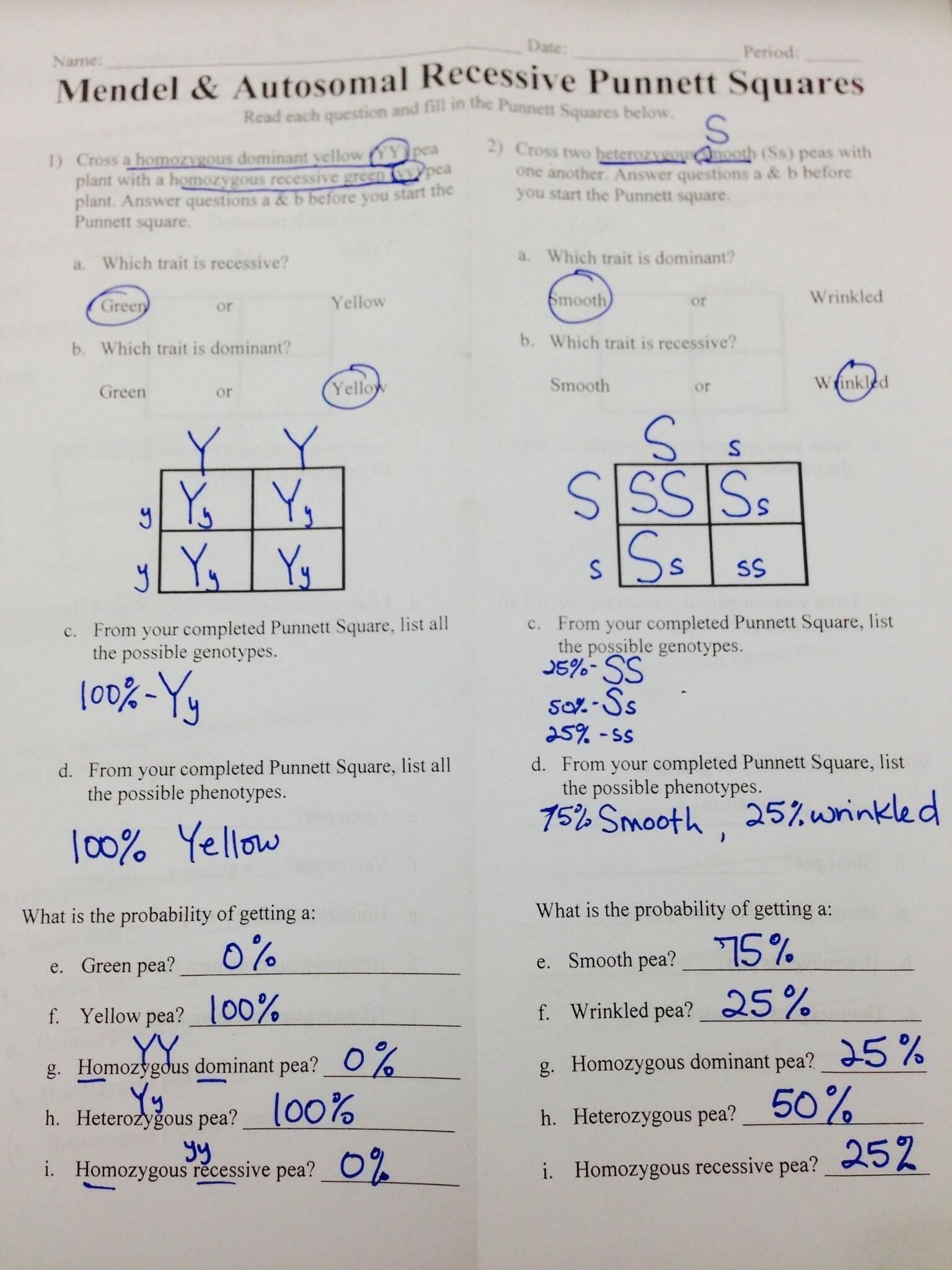 pea-plant-punnett-squares-worksheet-answer-key