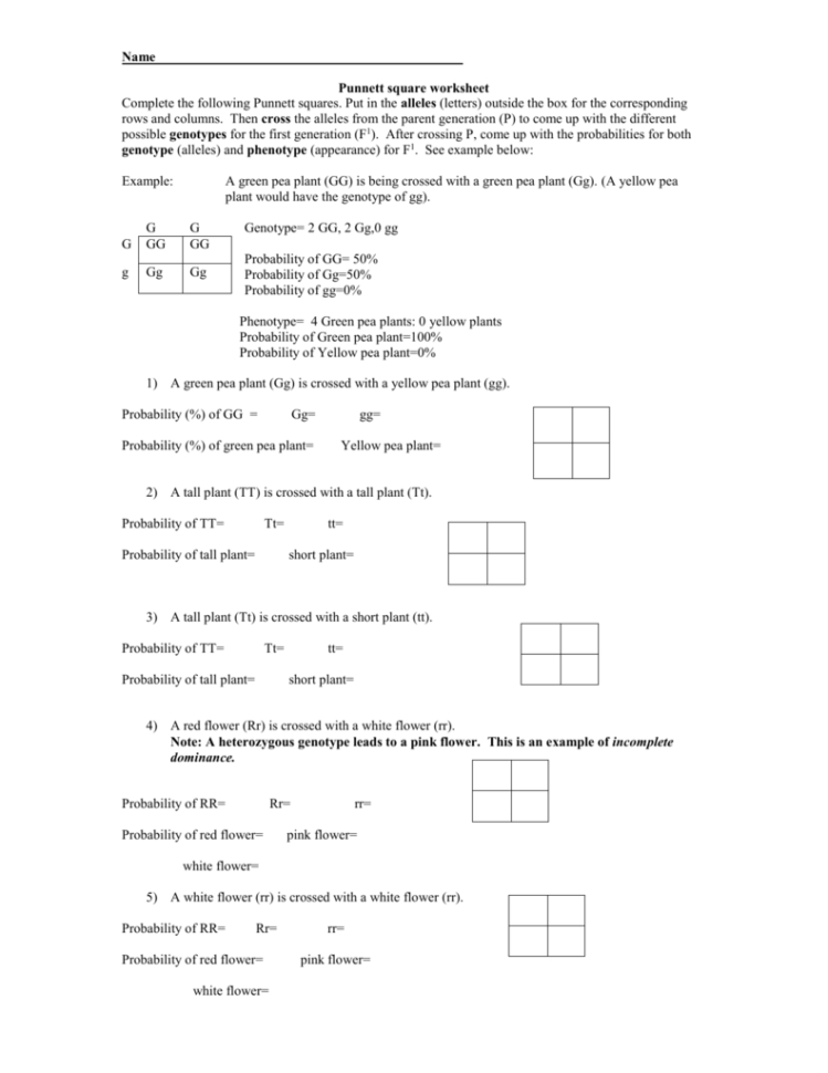 Punnett Square Worksheet