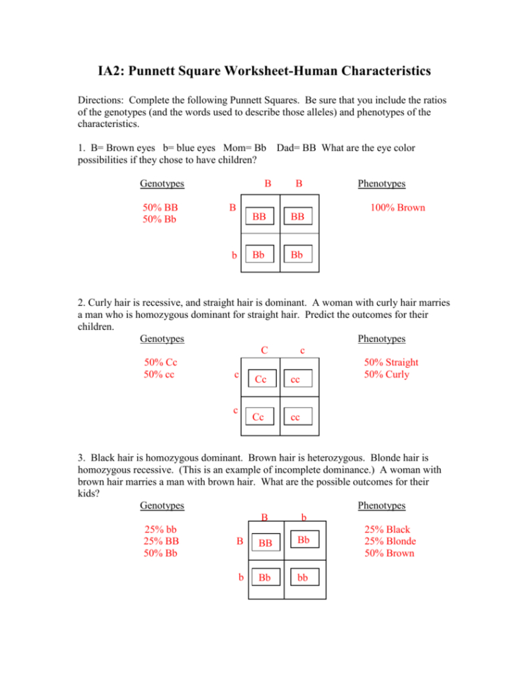punnett-square-worksheet-1-key