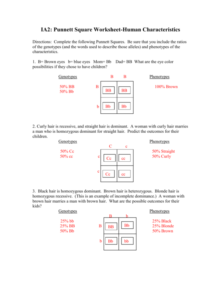 Punnett Square Worksheet — db-excel.com
