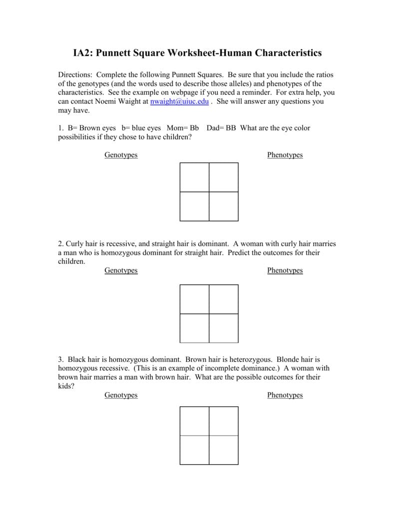 punnett-square-practice-worksheet-answer-key