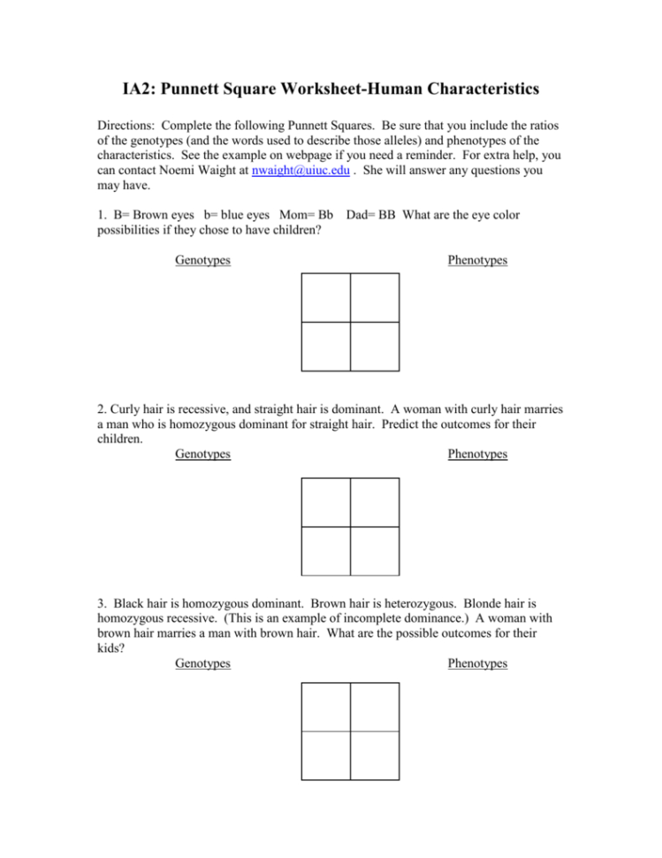 Punnett Square Worksheet