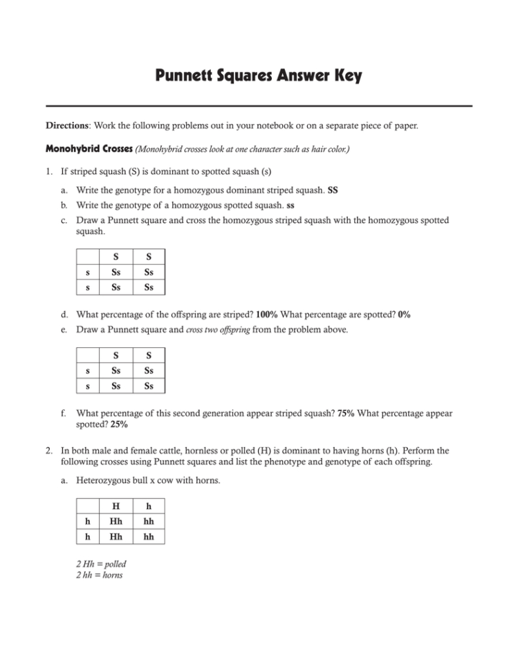 punnett-squares-answer-key-db-excel