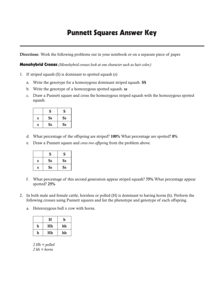 ck12-punnett-squares-answer-key-islero-guide-answer-for-assignment