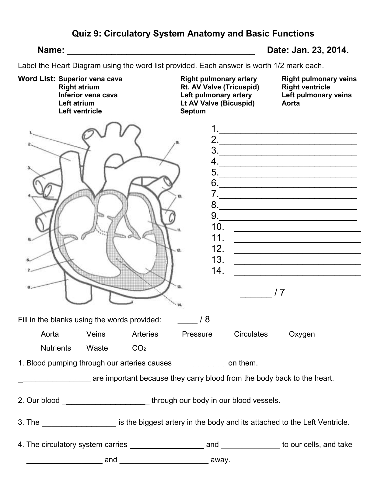 Quiz 9 Circulatory System Anatomy And Basic Functions — db-excel.com