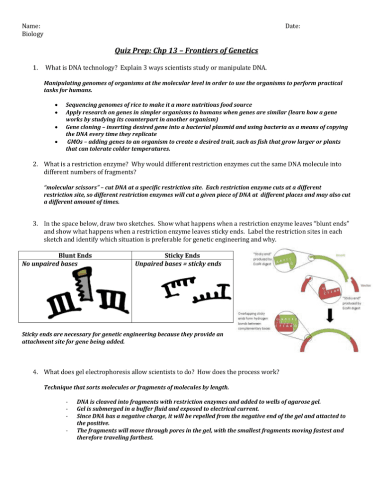 Quiz Prep Chp 13 – Frontiers Of Genetics
