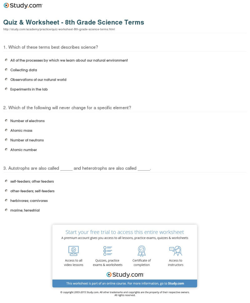 Quiz  Worksheet  8Th Grade Science Terms  Study