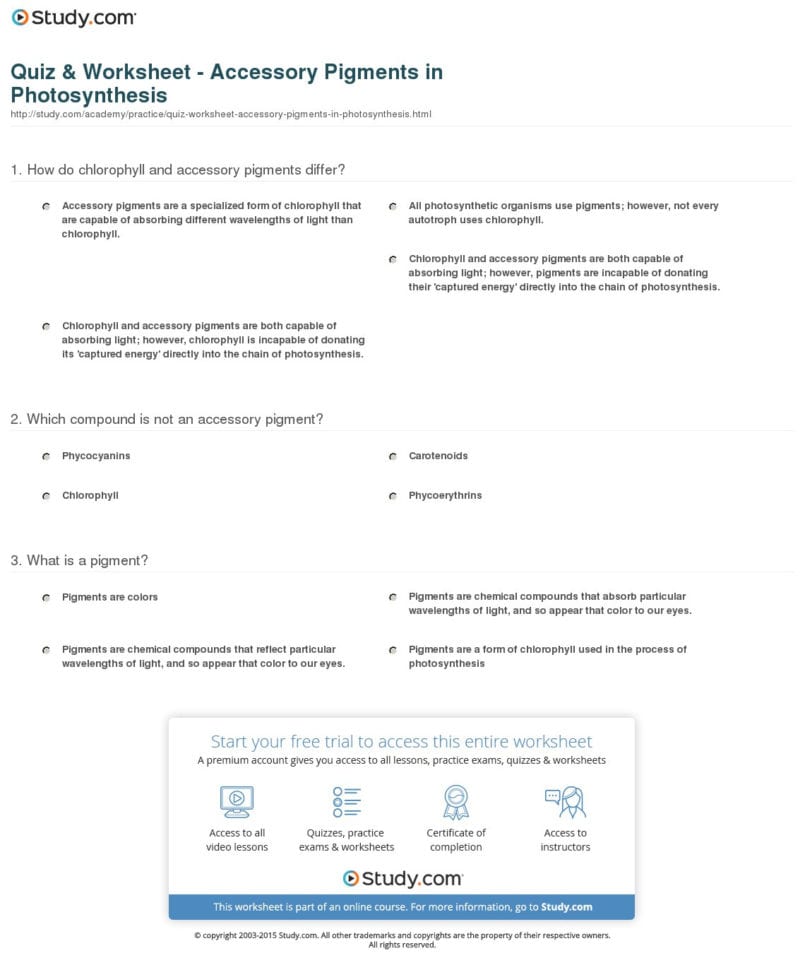 Quiz  Worksheet  Accessory Pigments In Photosynthesis
