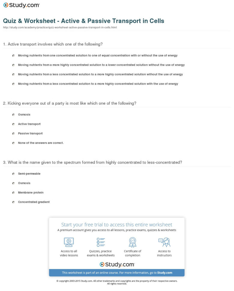 Quiz  Worksheet  Active  Passive Transport In Cells