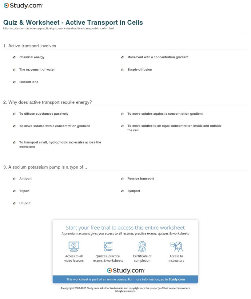 Quiz  Worksheet  Active Transport In Cells  Study