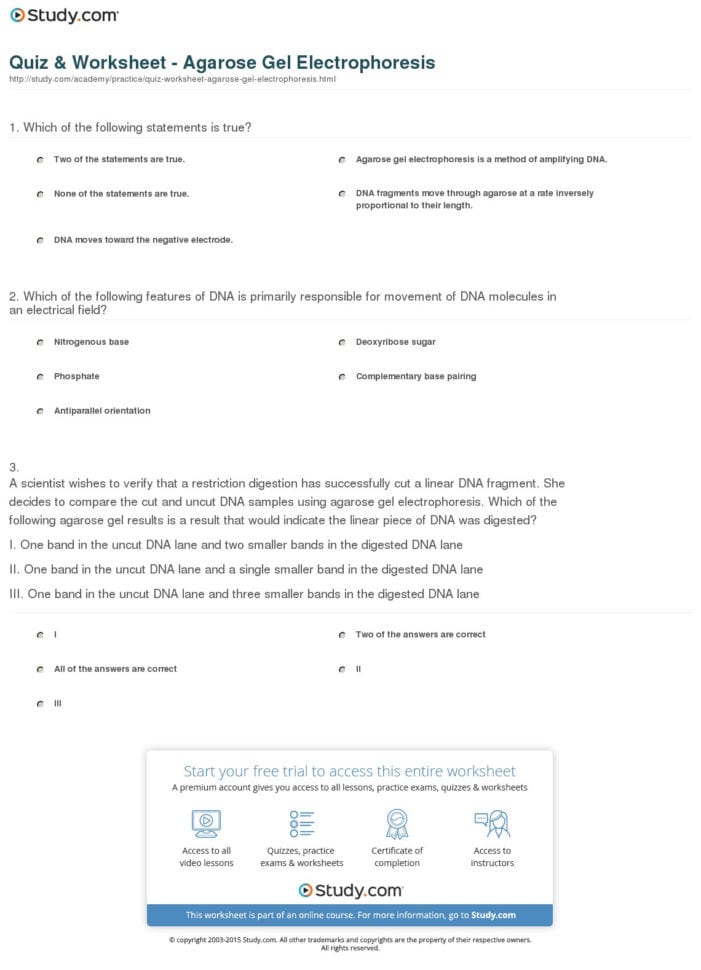 Quiz  Worksheet  Agarose Gel Electrophoresis  Study