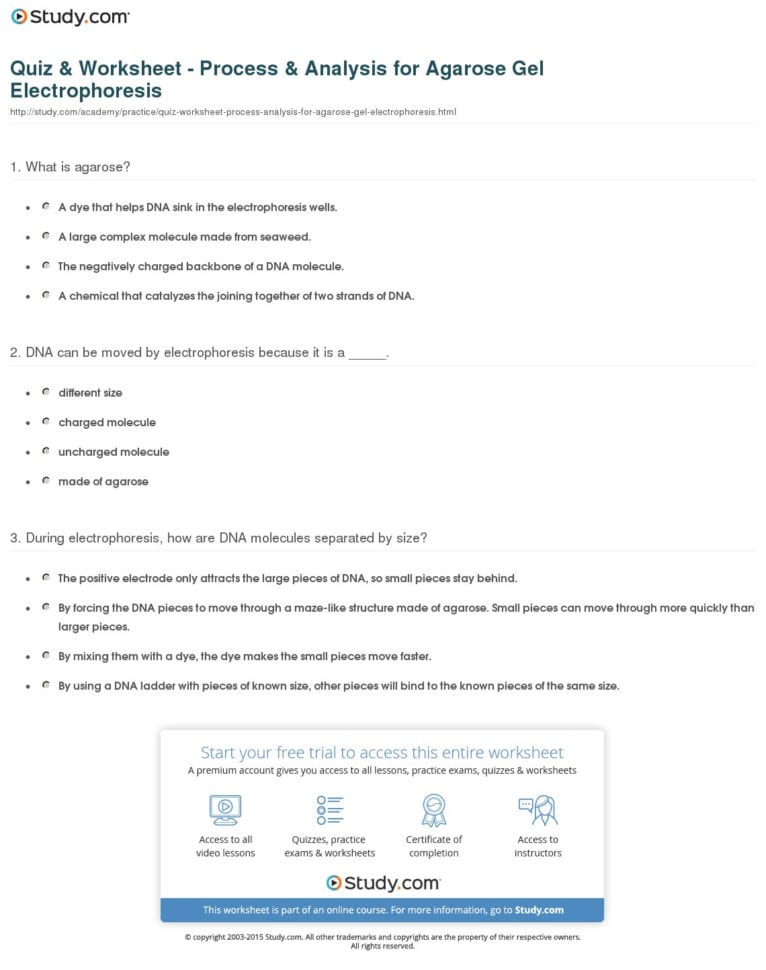 Quiz  Worksheet    Analysis For Agarose Gel