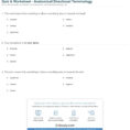 Quiz  Worksheet  Anatomical Directional Terminology