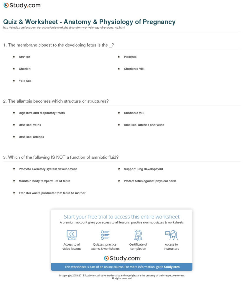 Quiz  Worksheet  Anatomy  Physiology Of Pregnancy  Study