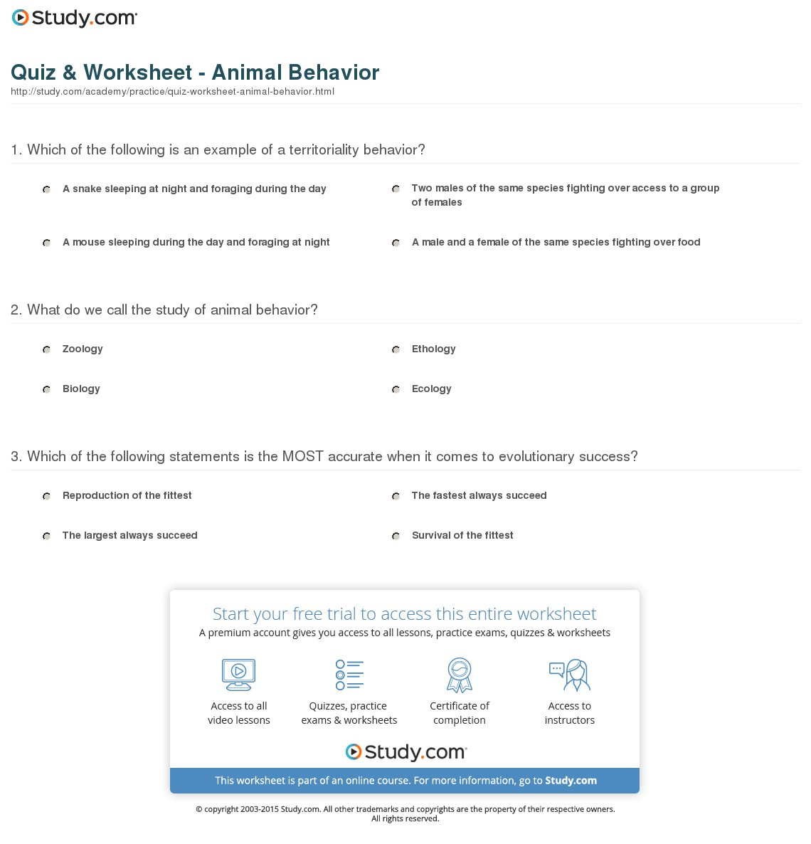 Quiz  Worksheet  Animal Behavior  Study